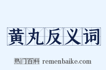 黄丸反义词是什么意思的图片